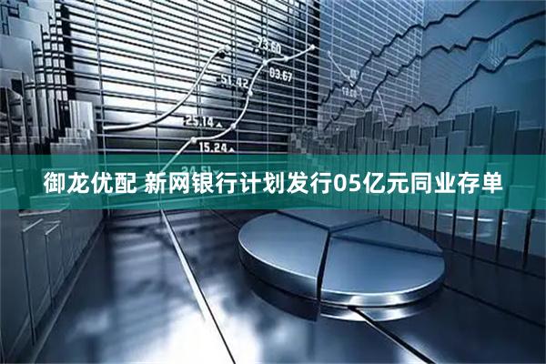 御龙优配 新网银行计划发行05亿元同业存单