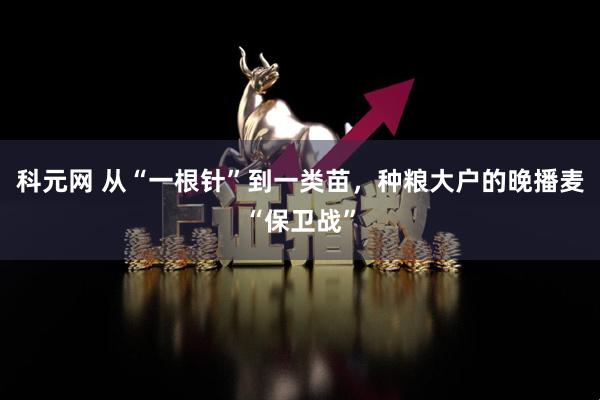 科元网 从“一根针”到一类苗，种粮大户的晚播麦“保卫战”