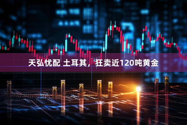 天弘忧配 土耳其，狂卖近120吨黄金