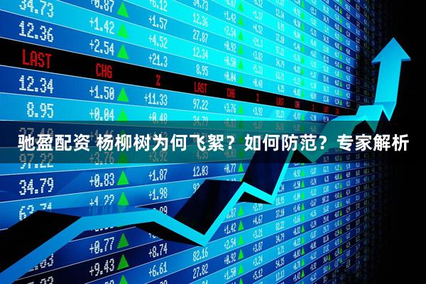 驰盈配资 杨柳树为何飞絮？如何防范？专家解析